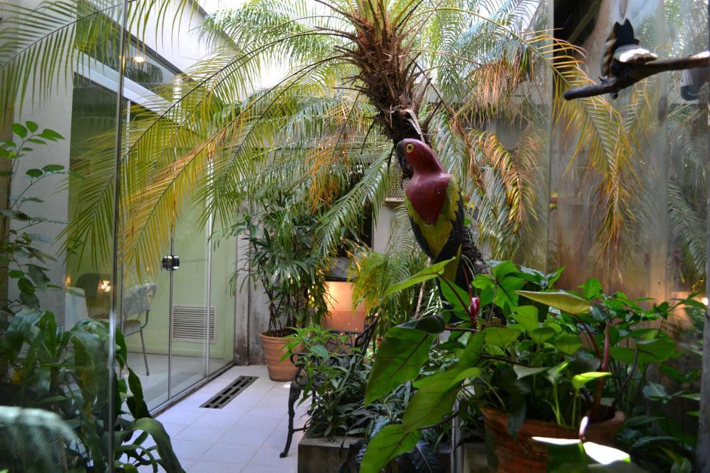 Hotel Amalfi Asunción Eksteriør bilde