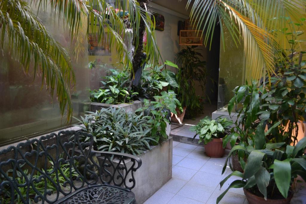 Hotel Amalfi Asunción Eksteriør bilde