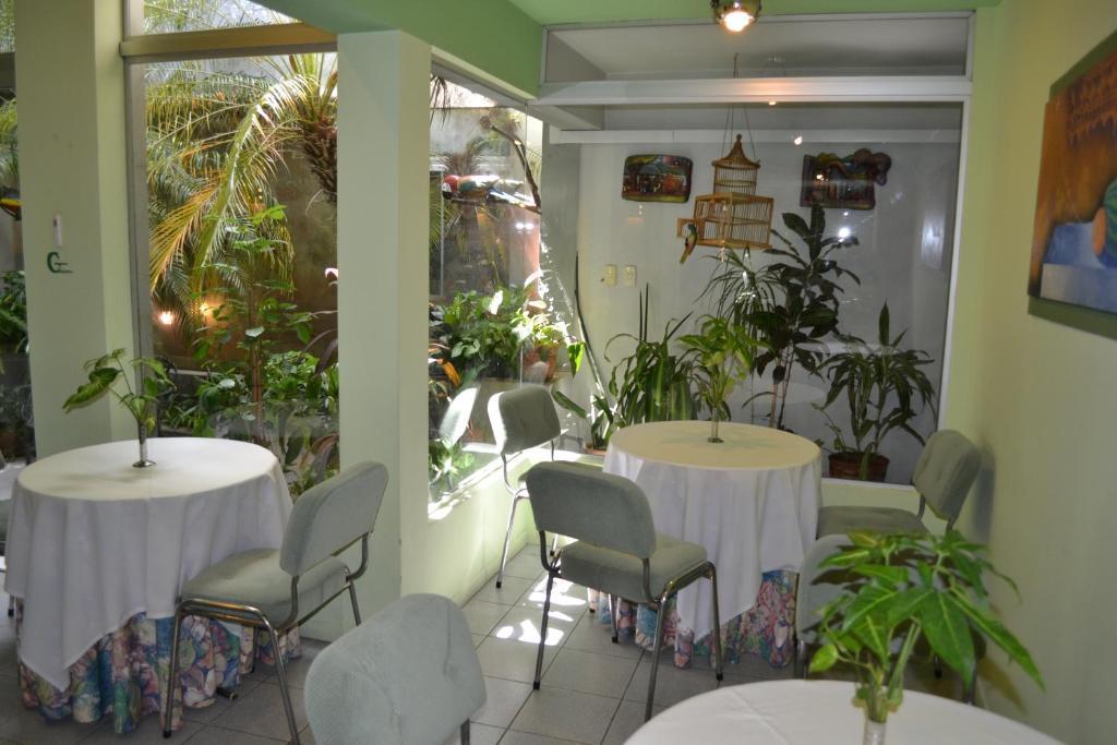 Hotel Amalfi Asunción Eksteriør bilde